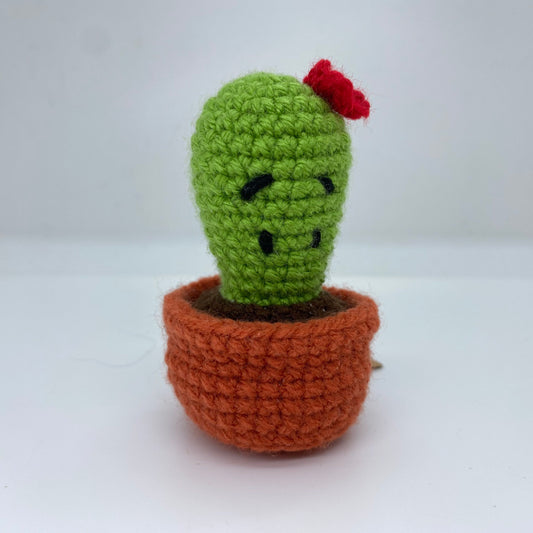 Cutie Cactus Pattern